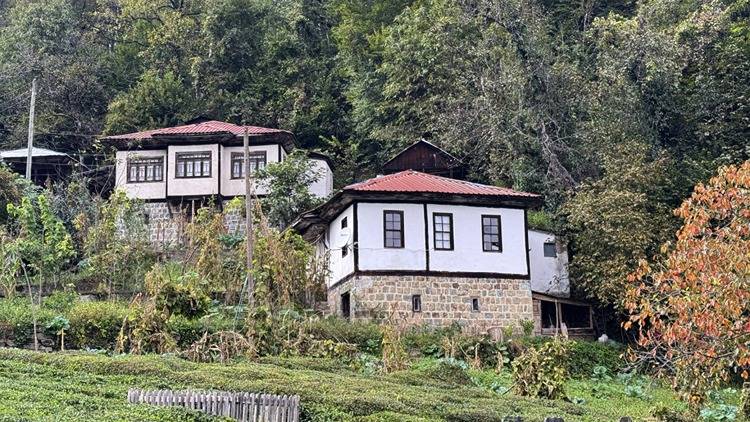 Hepsi kestane ağacından yapılıyor, turistlerin dikkatini çekiyor! Tescilli evler Arılı köyünde ilgi görüyor 4